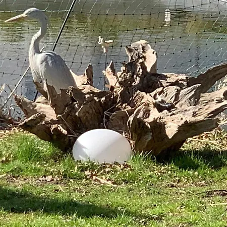 Hébergement de vacances 